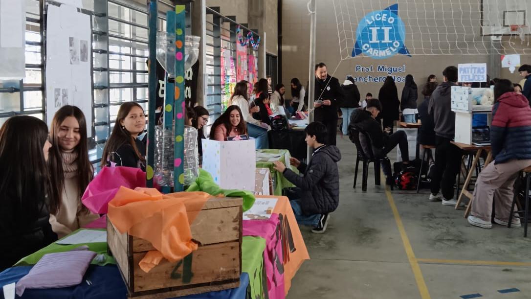 proyecto interdisciplinario 2