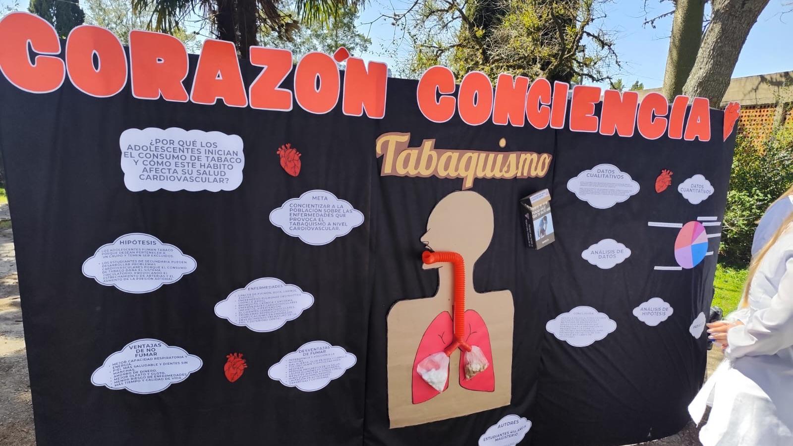 Material del Liceo AIUC. Muestra sobre el la salud caridovascular y el tabaquismo.
