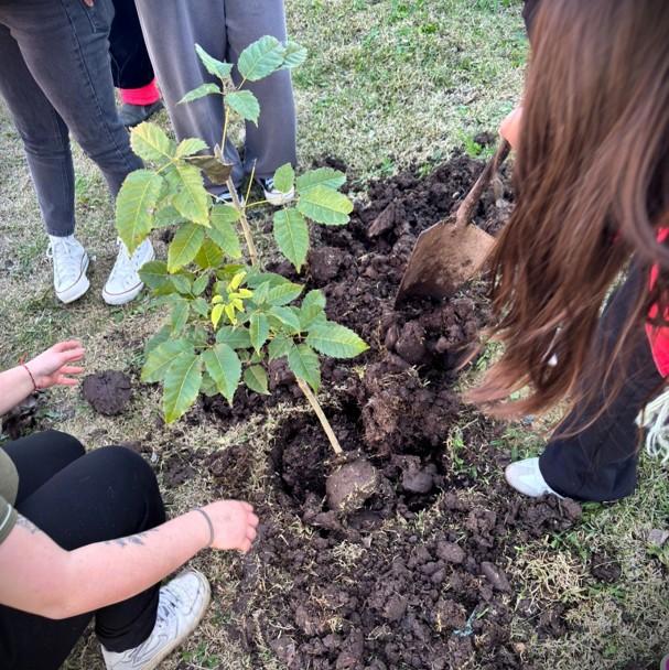 Ateneos Pedagógicos