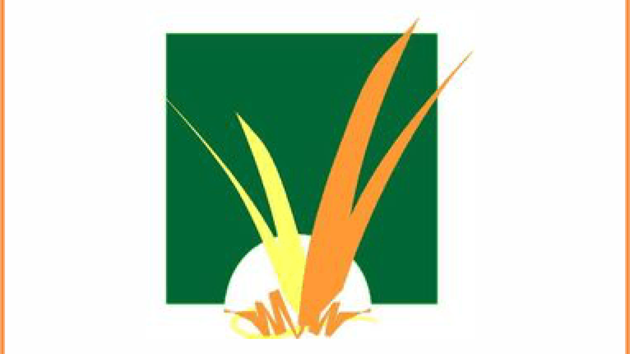 logo liceo