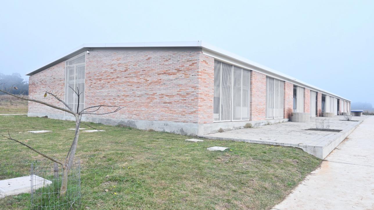edificio