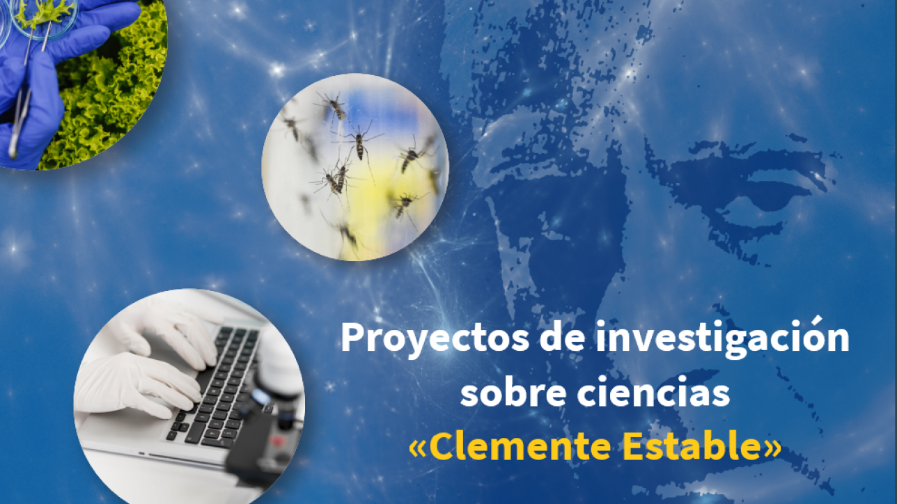 clemente estable