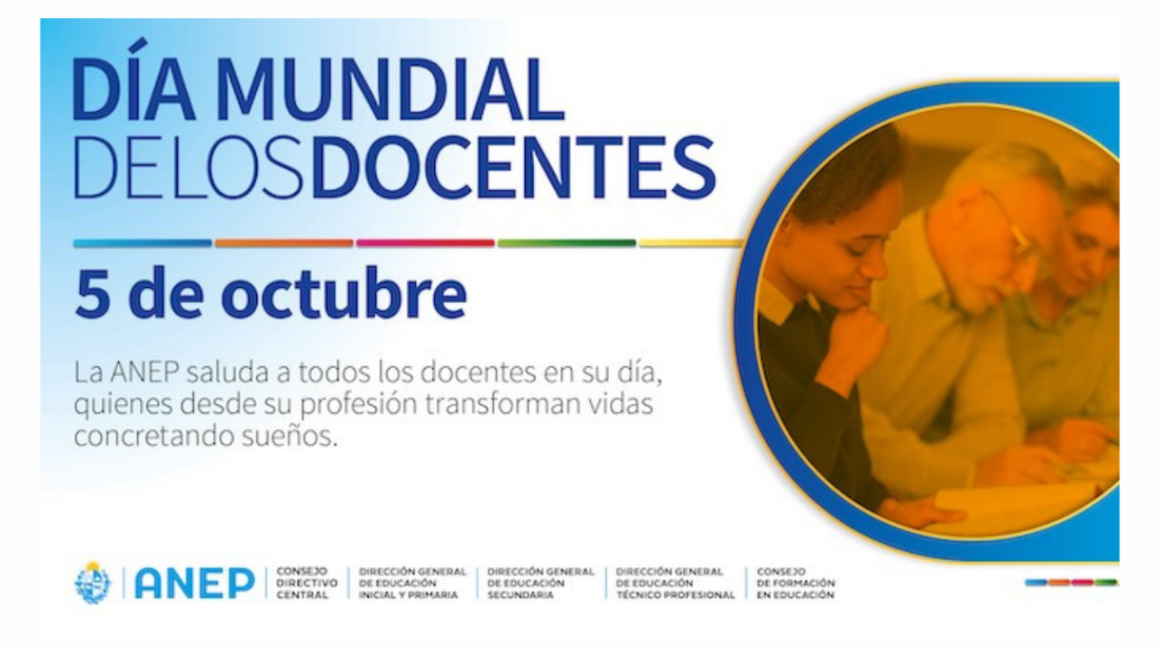 docenteee