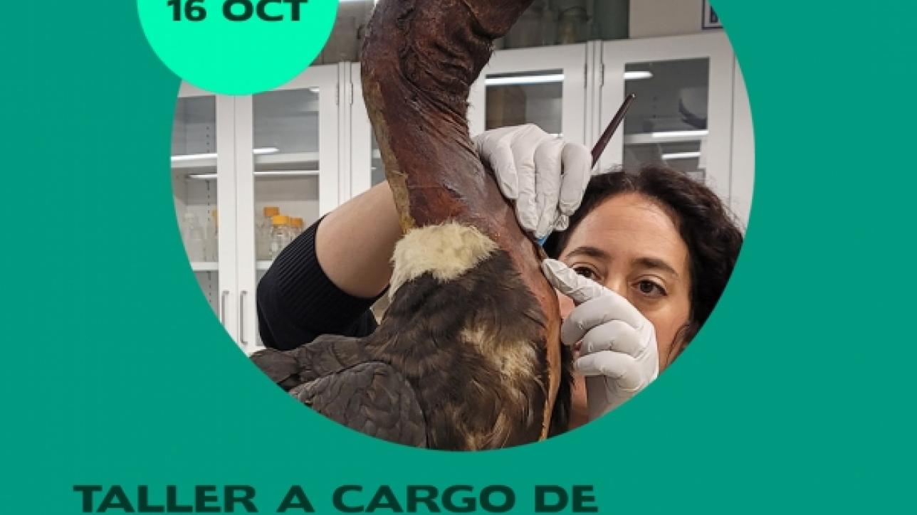 Afiche promoción del evento.