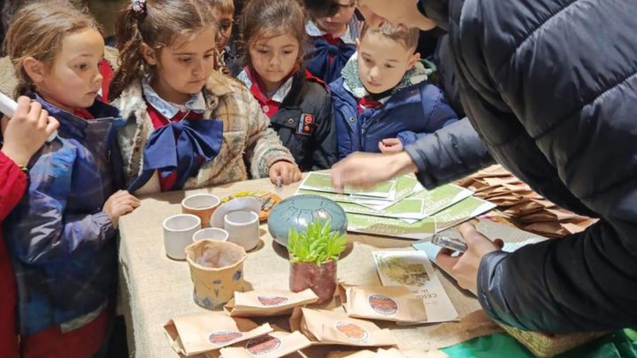Guardianes de los Cerritos